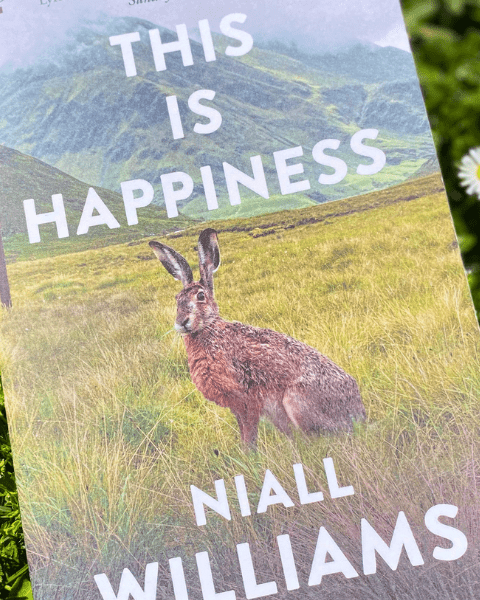 Visuel du livre « This is Happiness » de Niall Williams, sélection du book club Deliciously Home – ambiance irlandaise nostalgique et poétique pour la lecture du mois de mars 2025.