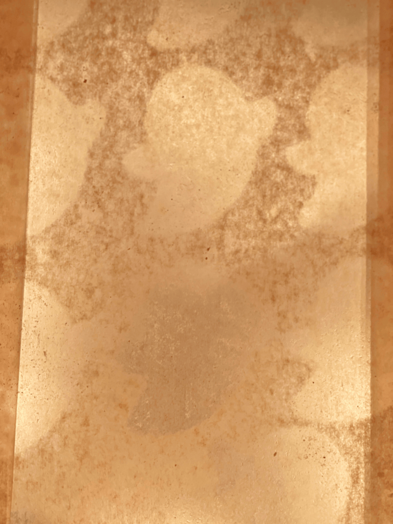 sandwichs sables erable noix halloween deliciouslyhome article1 Sur cette plaque encore tiède, des empreintes de petits fantômes attendent leur prochaine fournée. Une étape spooky de ces sandwichs sablés à l’érable et aux noix de Grenoble, à découvrir sur Deliciously Home pour un Halloween parfumé et fait maison.