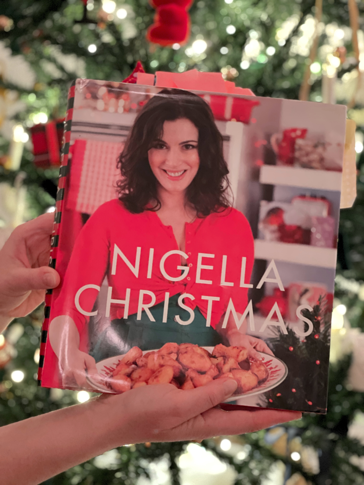 nigella christmas cook that book Passer Noël avec "Nigella Christmas" de Nigella Lawson. Notre review sur Deliciously Home.