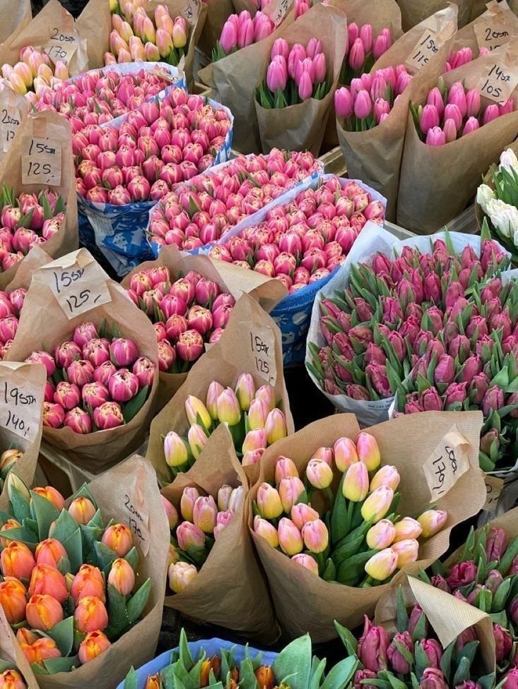 Bouquets de tulipes roses sur un marché de fleurs