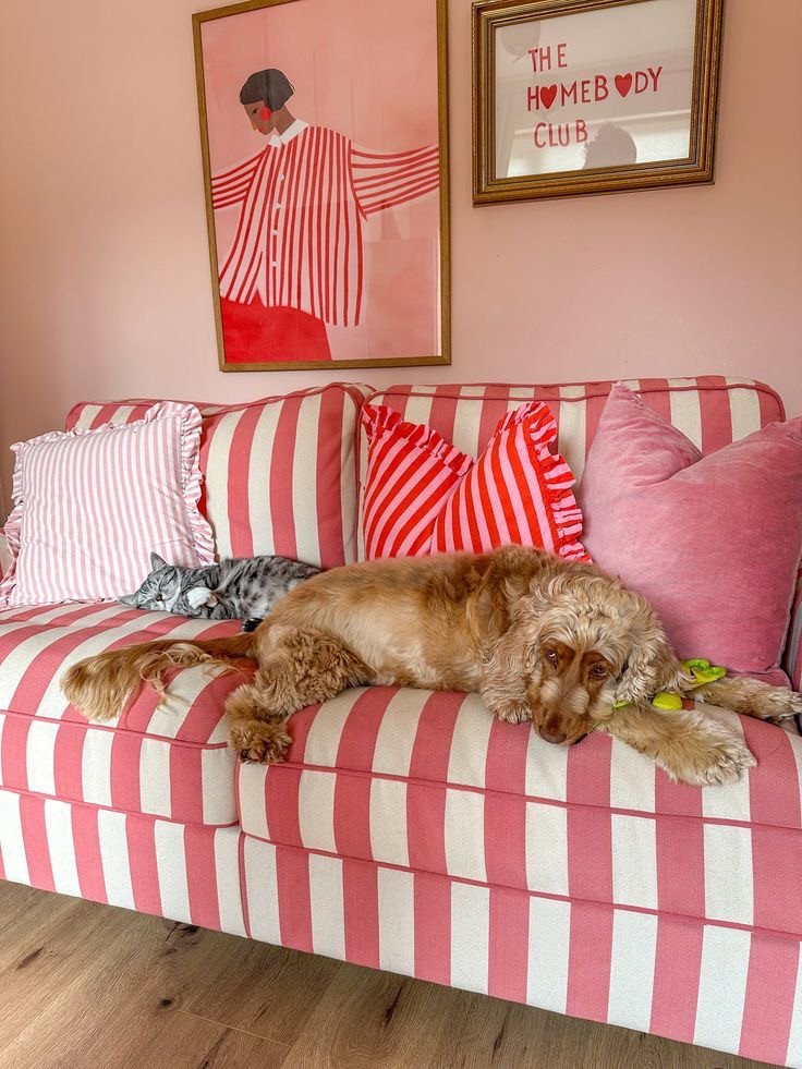 Canapé à rayures rose avec chien et chat dans un salon