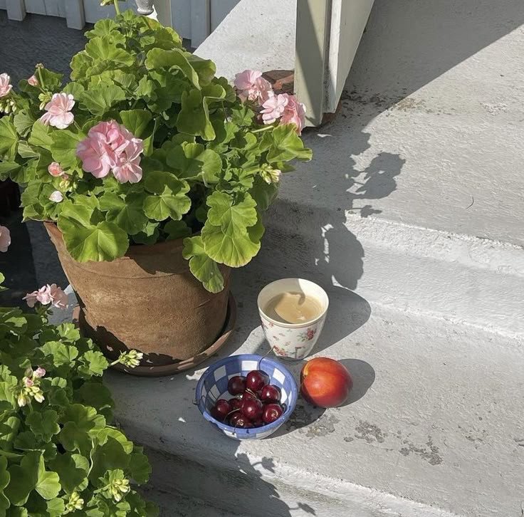 Coin extérieur avec pot de fleurs, tasse et fruits sur des marches baignées de soleil, à explorer dans notre article sur Aménager un coin d’été chez soi sur Deliciously Home